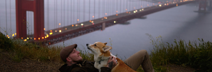 How to move your dog to the City: San Francisco