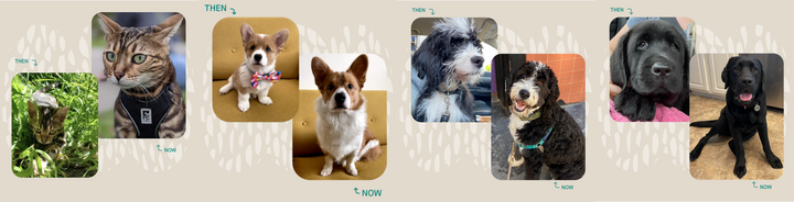 Win Fuzzy National Pet Day 2022 by Showing Your Pet's Then to Now Grow Up!