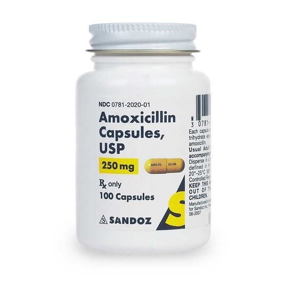 Amoxicillin Capsules for Dogs and Cats