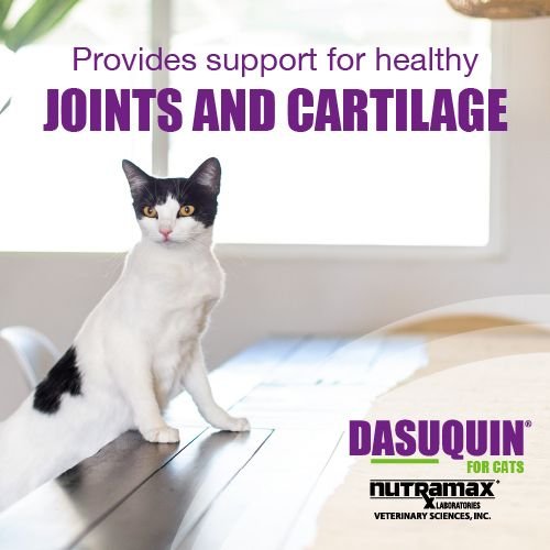 Dasuquin Soft Chews for Cats, 84 Ct