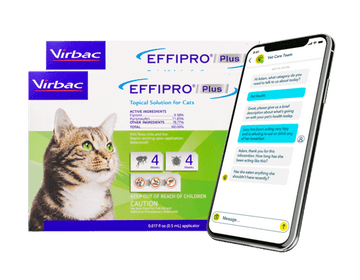 Virbac EFFIPRO Meds to Keep Fleas Away