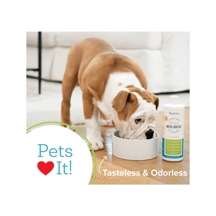 Oxyfresh Dog & Cat Oral Hygiene Solution