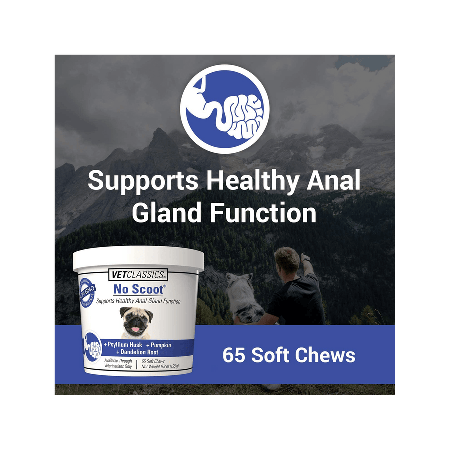 VetClassics No Scoot Anal Gland Support Supplements, 65 Soft Chews