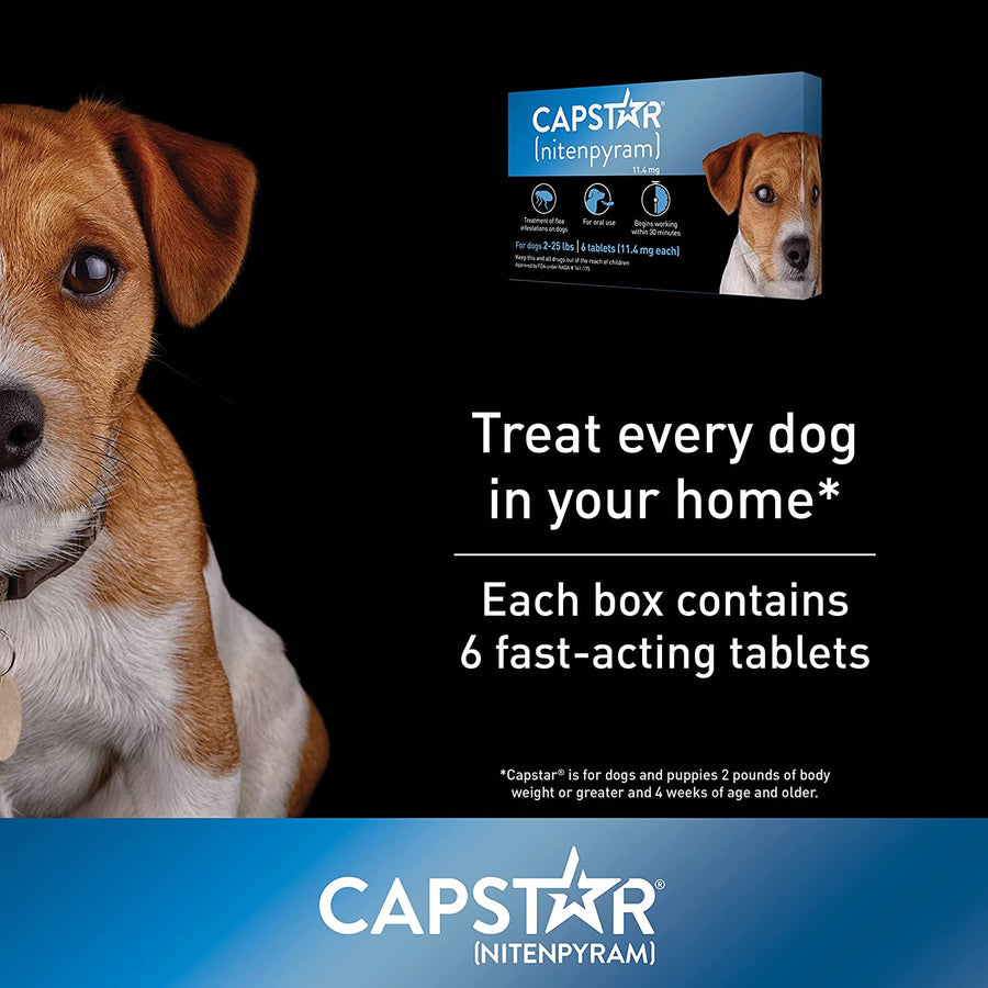 Treat every pet in your home with Capstar Oral Flea Medication for Dogs 2-25 Lbs, 6 Ct