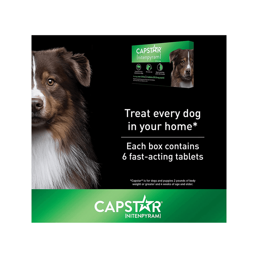 Capstar treat every dog in your home