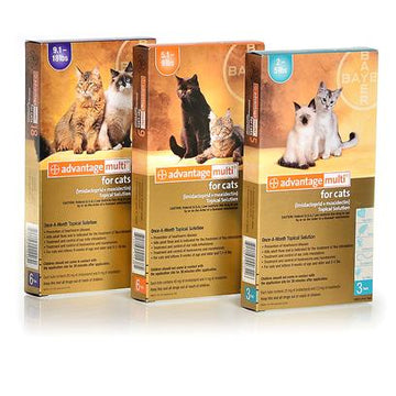 Advantage Multi Topical Solution for Cats