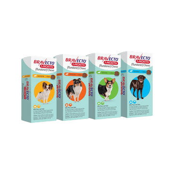 Bravecto 1-Month Chewable Tablets for Dogs and Puppies