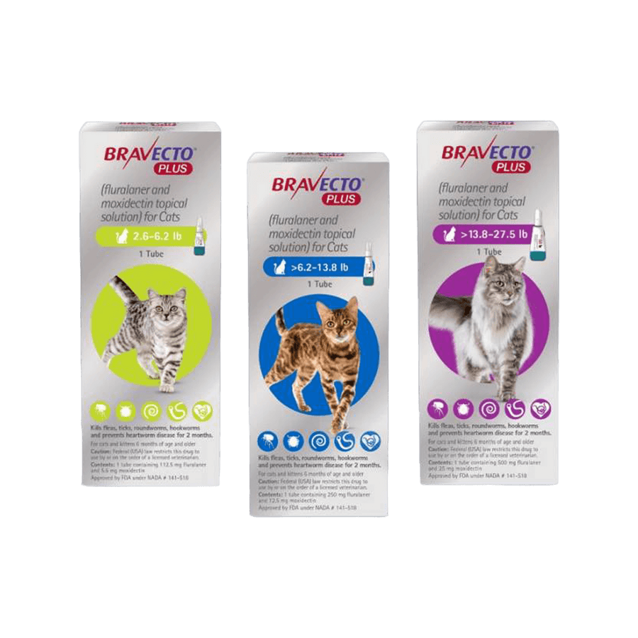 Bravecto PLUS Topical Solution for Cats