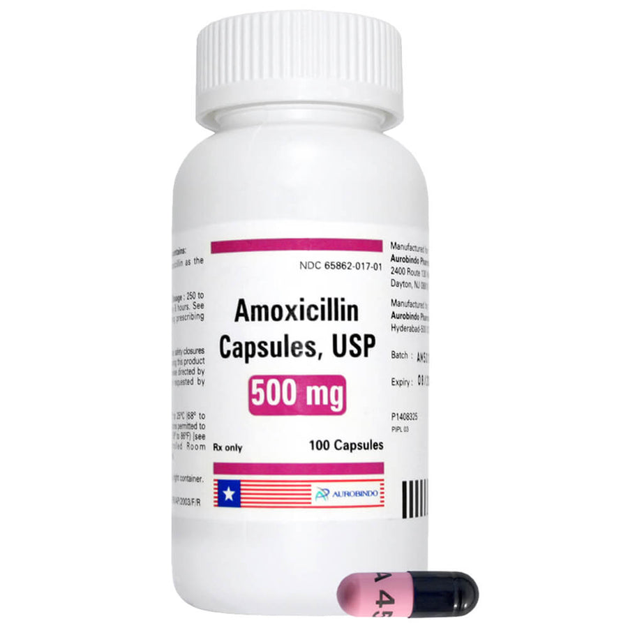 Amoxicillin Capsules for Dogs and Cats