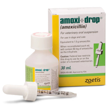Amoxi-Drops for Dogs and Cats