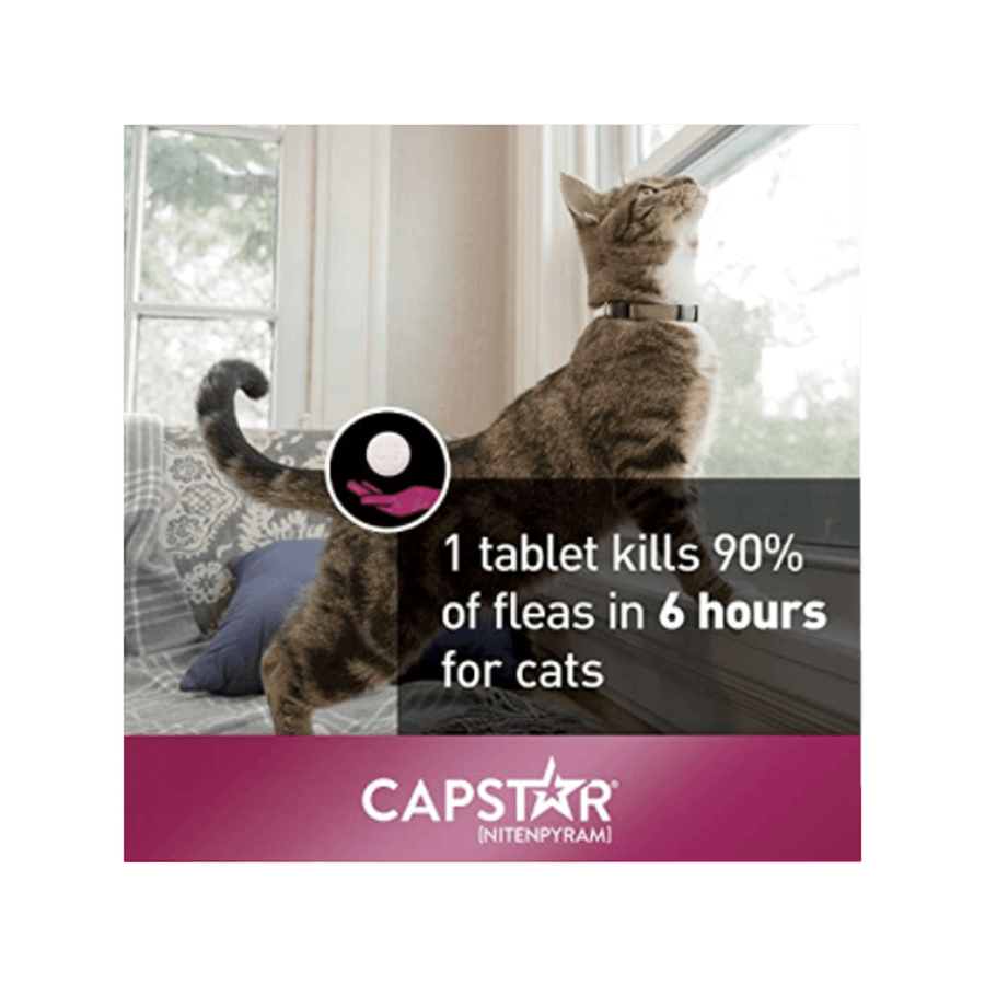 Capstar 1 tablet kills 90% of fleas in 6 hours