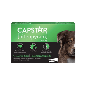 Capstar for dogs 25 lbs and over front of box