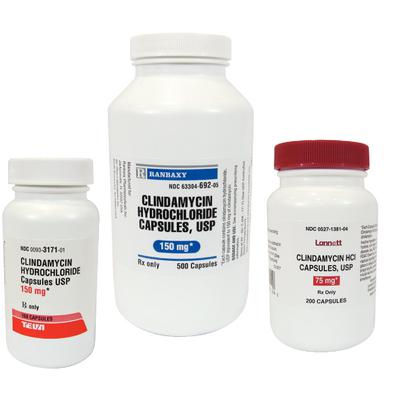 Clindamycin Capsules for Dogs and Cats