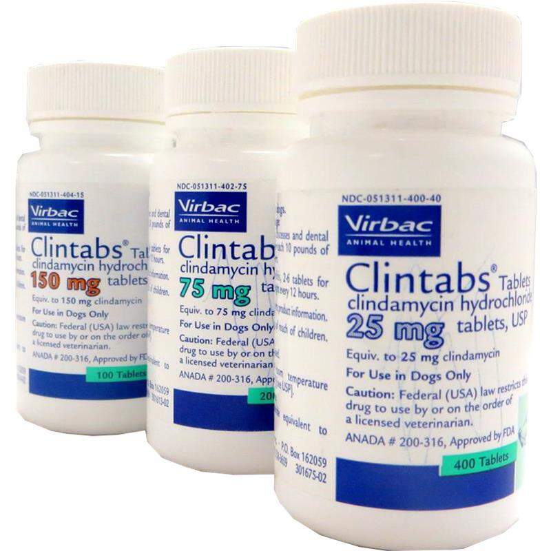 Clintabs (Clindamycin) Tablets for Dogs and Cats