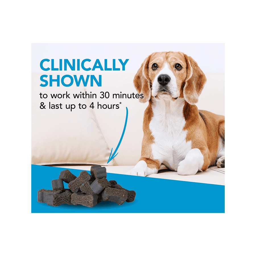 Composure chews for small dogs is clinically proven to work within 30 minutes