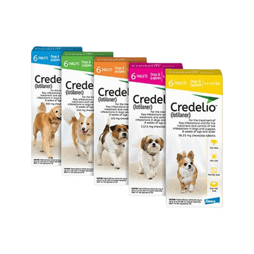 Credelio Chewable Tablets for Dogs