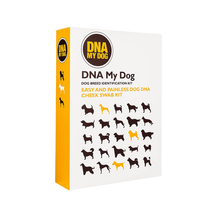 DNA My Dog Test Easy Cheek Swab Kit