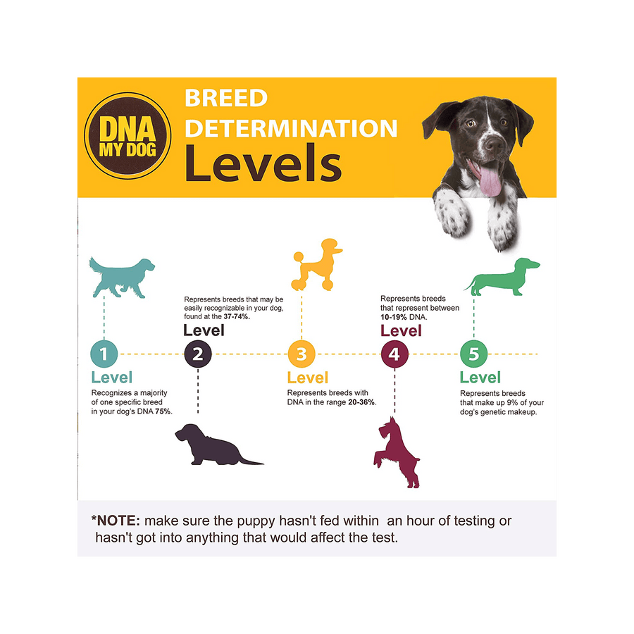 DNA My Dog Test