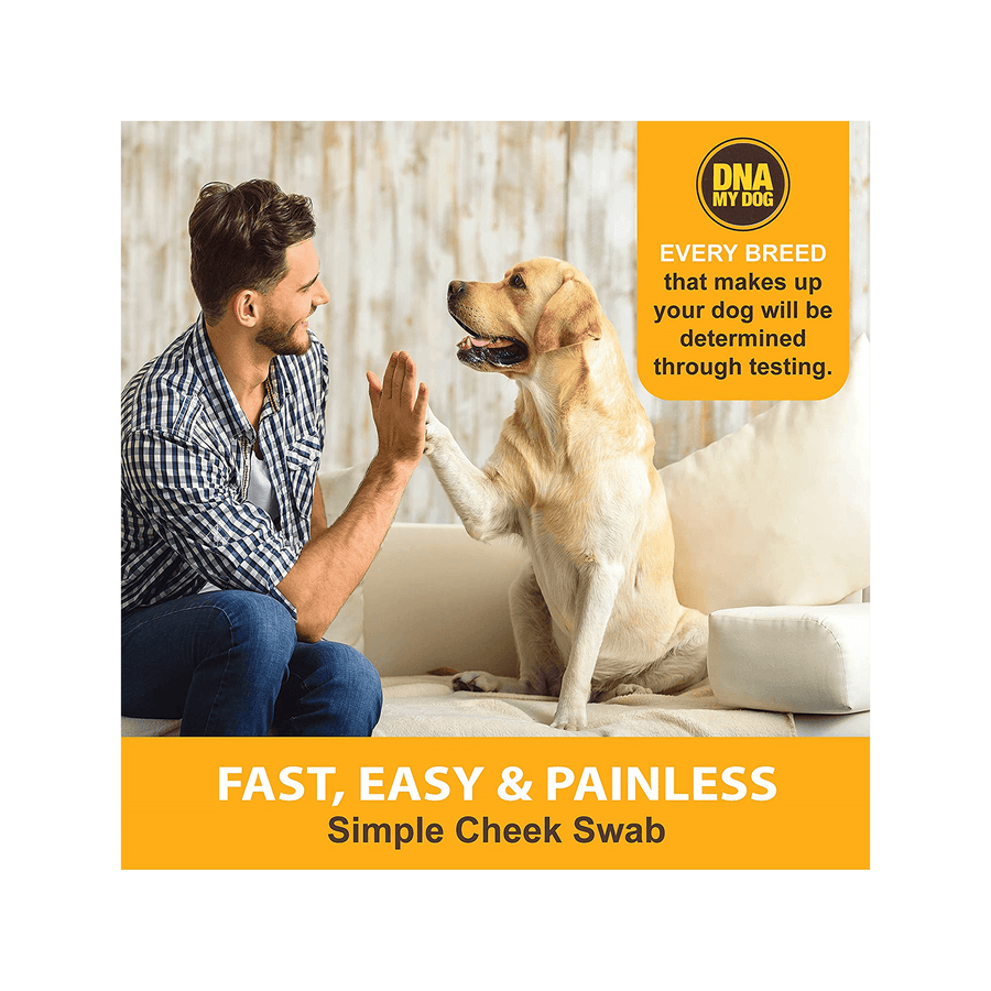 DNA My Dog Test - Fast, easy and painless