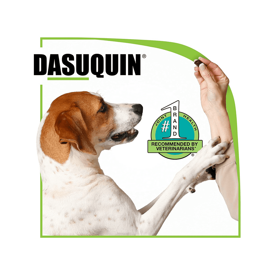 Dasuquin Soft Chews for Small Dogs number one recommended joint product