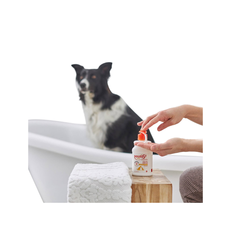 Douxo S3 PYO Antiseptic Anti-fungal Shampoo for Dogs & Cats