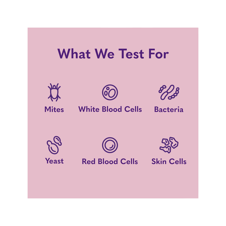 Mysimplepetlab tests for mites, white blood cells, bacteria, yeast, red blood cells, skin cells 