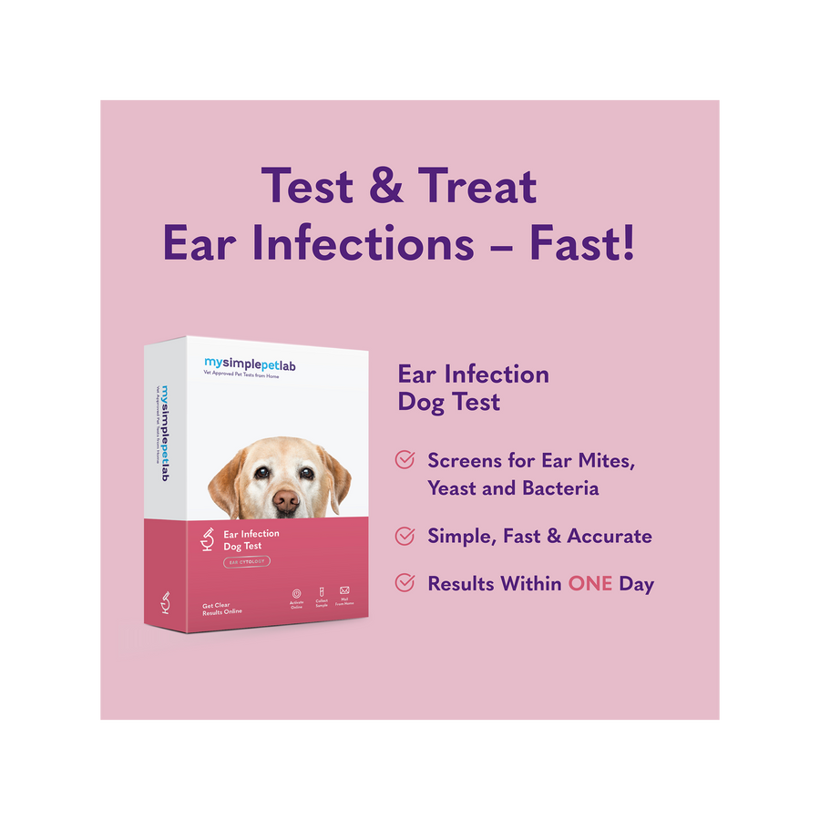 Test & treat ear infections fast with mysimplepetlab