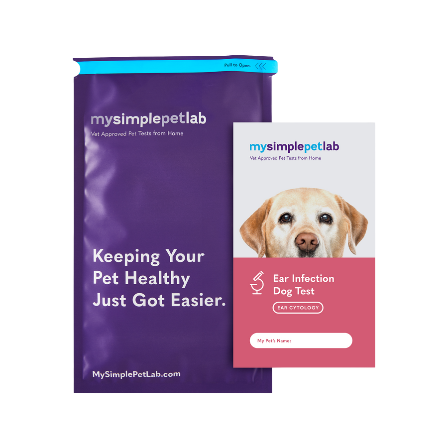 MySimplePetLab Ear Infection Test for Dogs