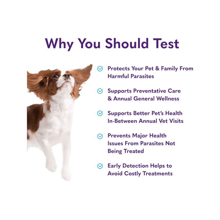 MySimplePetLab Stool Test for Worms, Coccidia & Giardia for Dogs