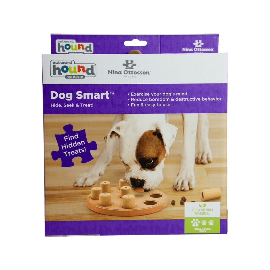 Outward Hound Dog Smart Composite Interactive Treat Puzzle Toy