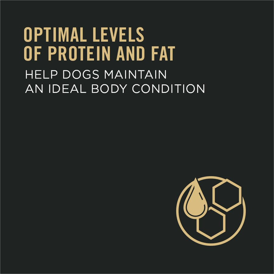 Infograph: optimal. levels of protein & fat help dogs mainting ideal body condition