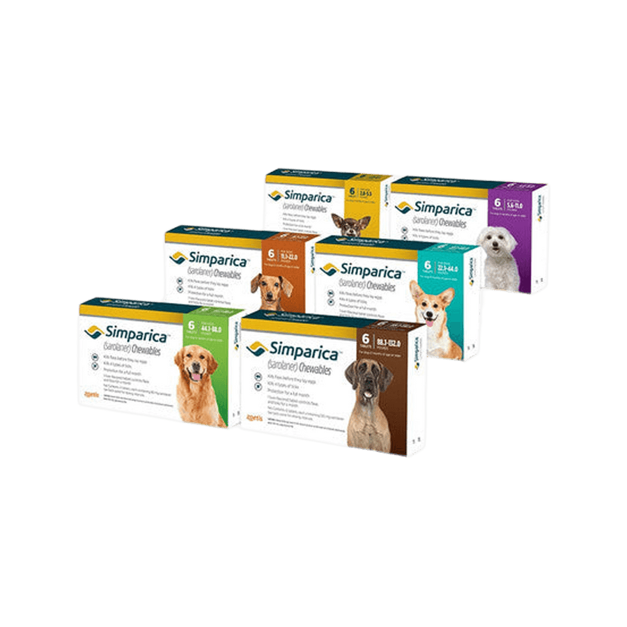 Simparica Chewable Tablets for Dogs, 6 months