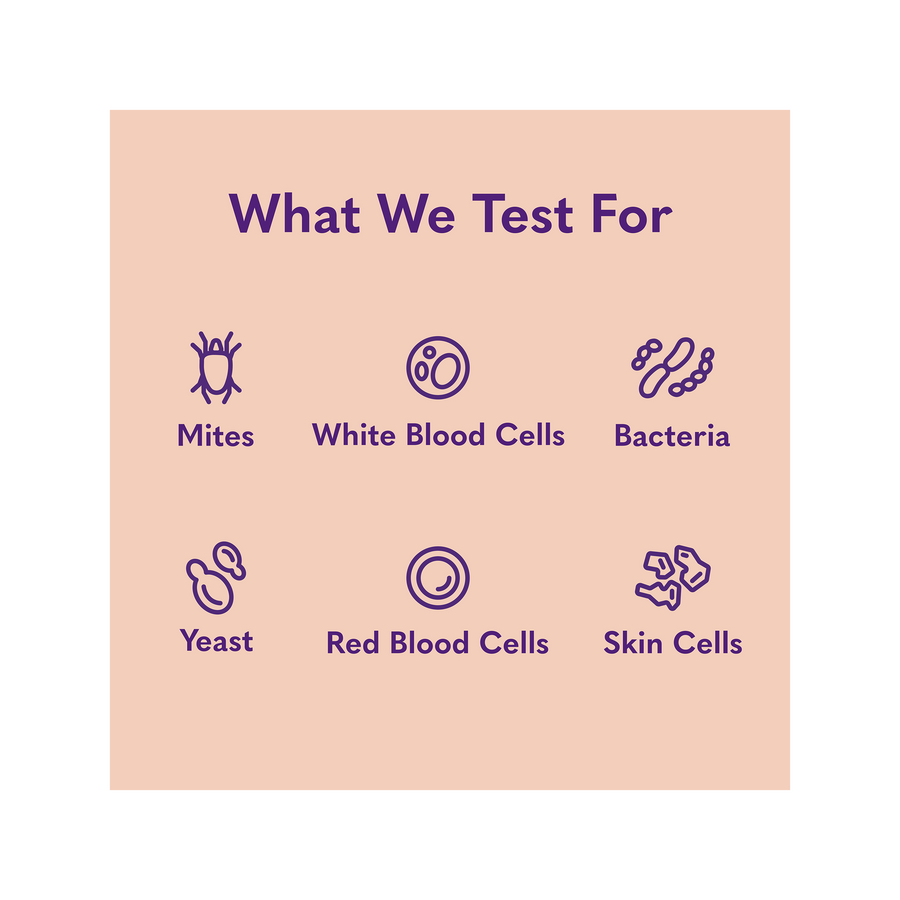 mysimplepetlab tests for mites, white blood cells, bacteria, yeast. red blood cells and skin cells 