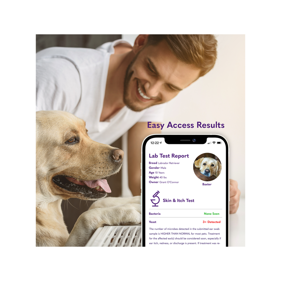 Early and easy results sent to your mysimplepetlab portal