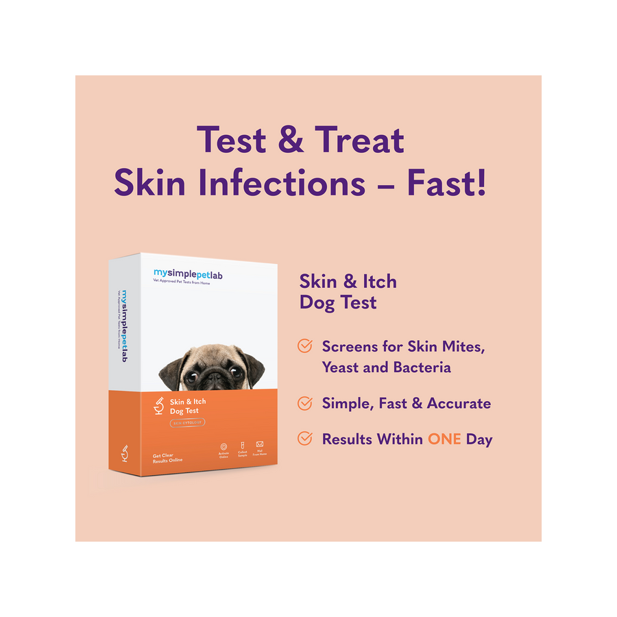 Test and treat skin infections fast with mysimplepetlab!