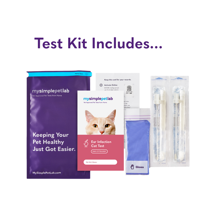 mysimplepetlab test includes two swabs, gloves and shipping label