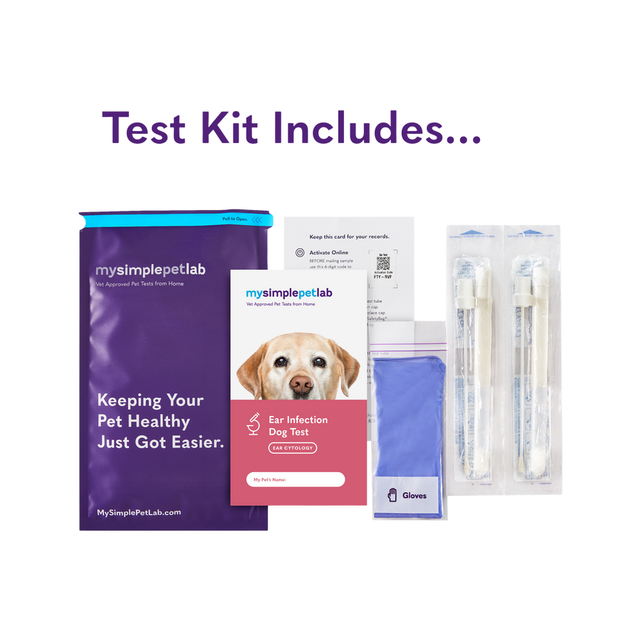 MySimplePetLab Ear Infection Test for Dogs