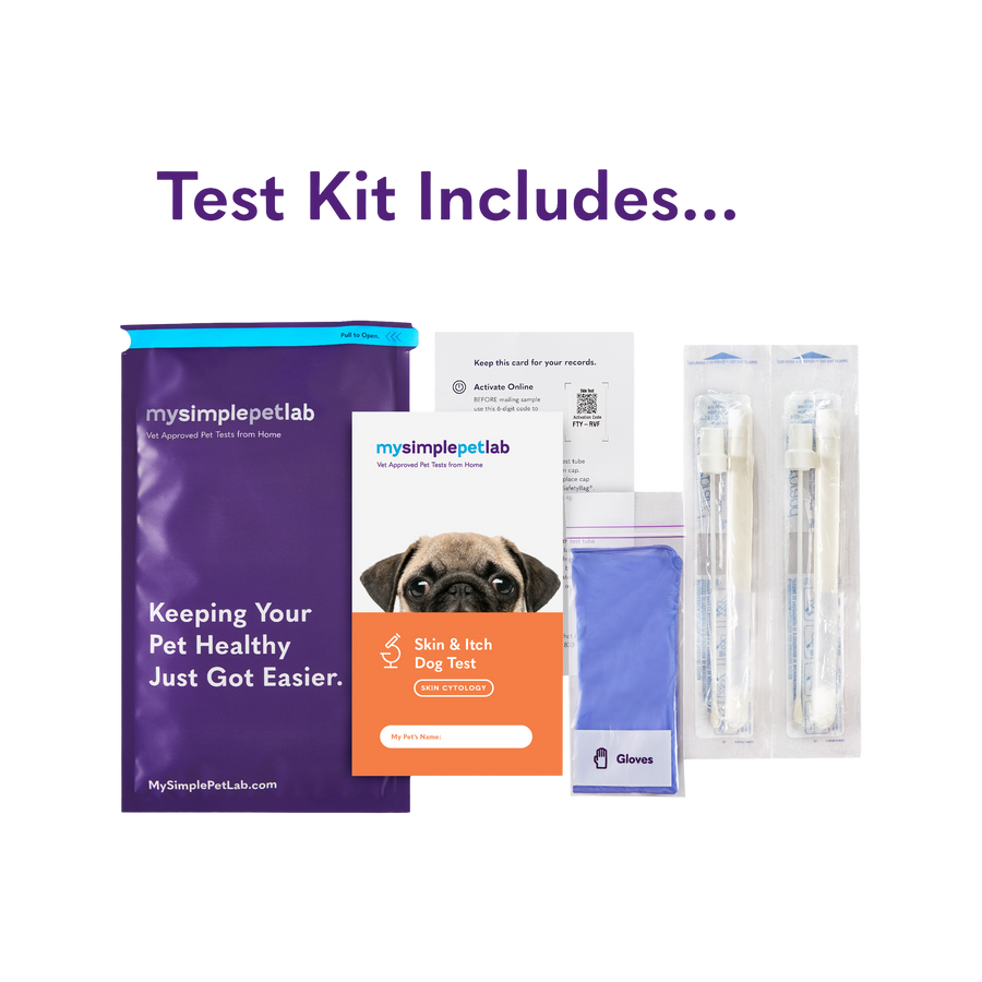 MySimplePetLab Skin & Itch Test for Dogs