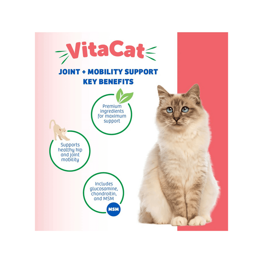 VitaCat Joint & Mobility supports healthy hips and joints. Includes glucosamine and chondroitin.