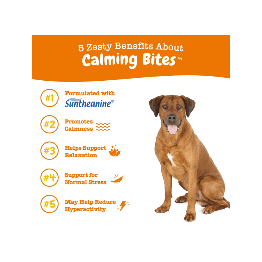 Zesty Paws Calming Bites with Suntheanine Functional Supplement for Dogs