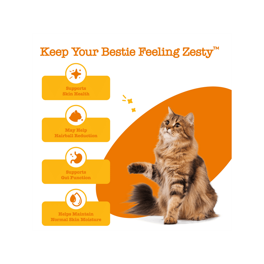 Zesty Paws Hairball Bites Salmon Soft Chews for Cats