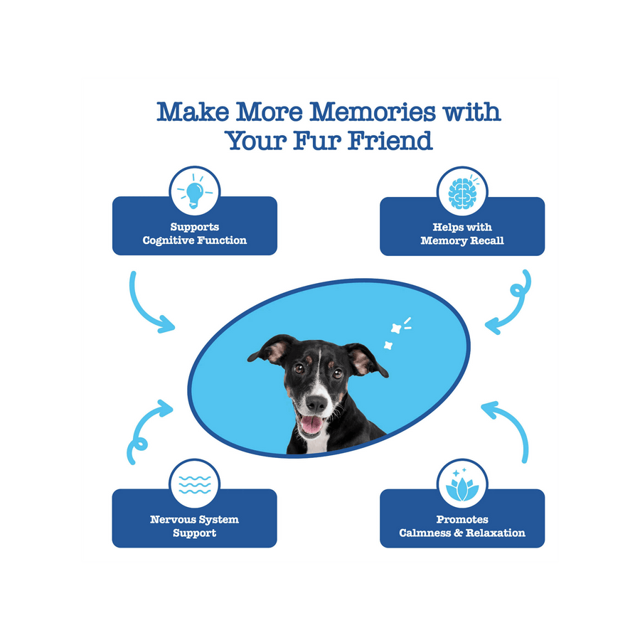 Zesty Paws Cognition Bites Functional Supplement for Senior Dogs