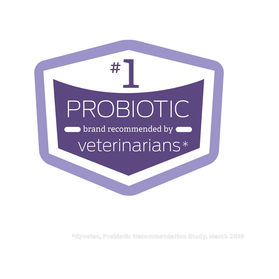 Number one recommended probiotic by vets