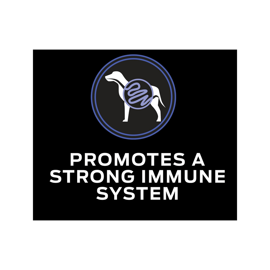 Promotes a strong immune system