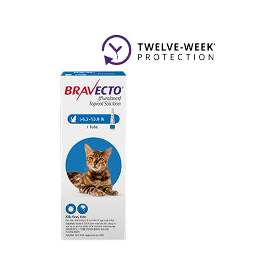 Bravecto Topical Solution for Cats 13.8 - 27.5 lbs