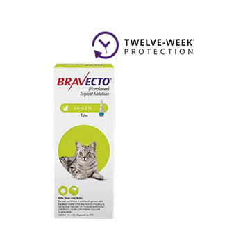 Bravecto Topical Solution for Cats 2.6 - 6.2 lbs
