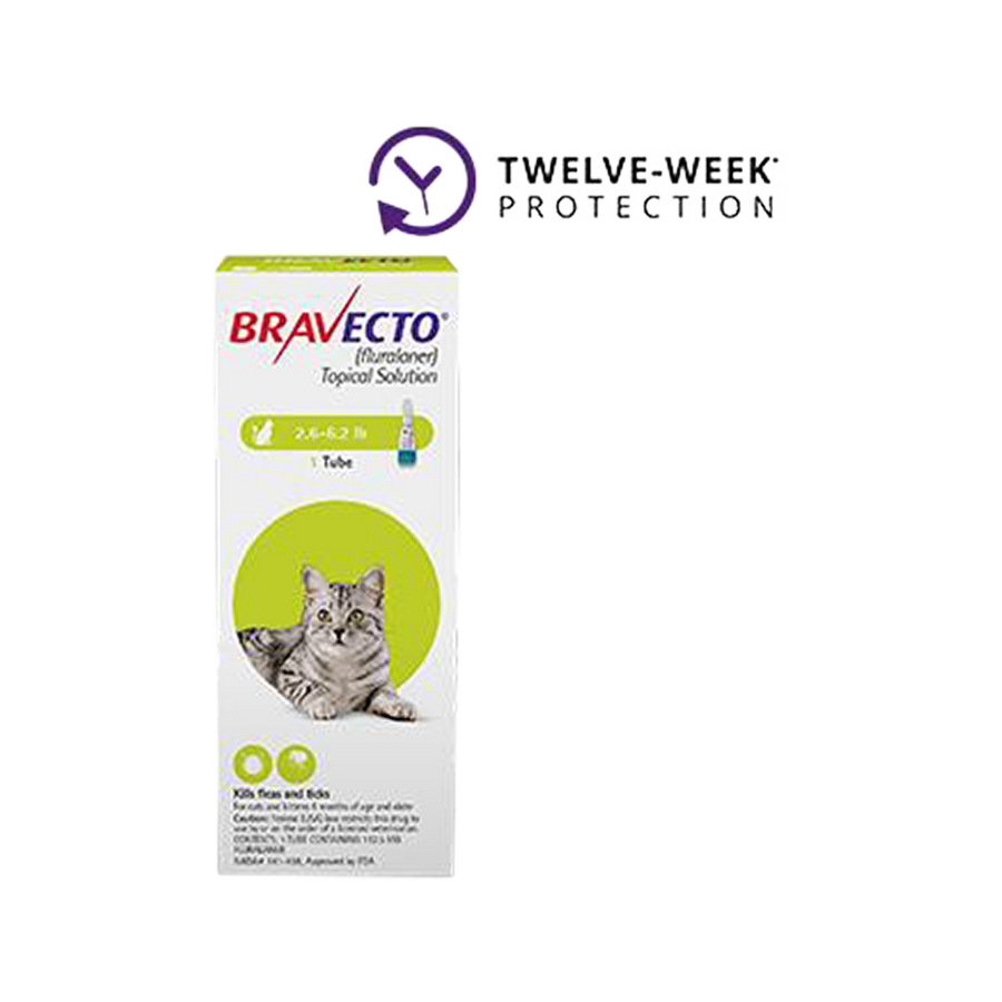 Bravecto Topical Solution for Cats 2.6 - 6.2 lbs