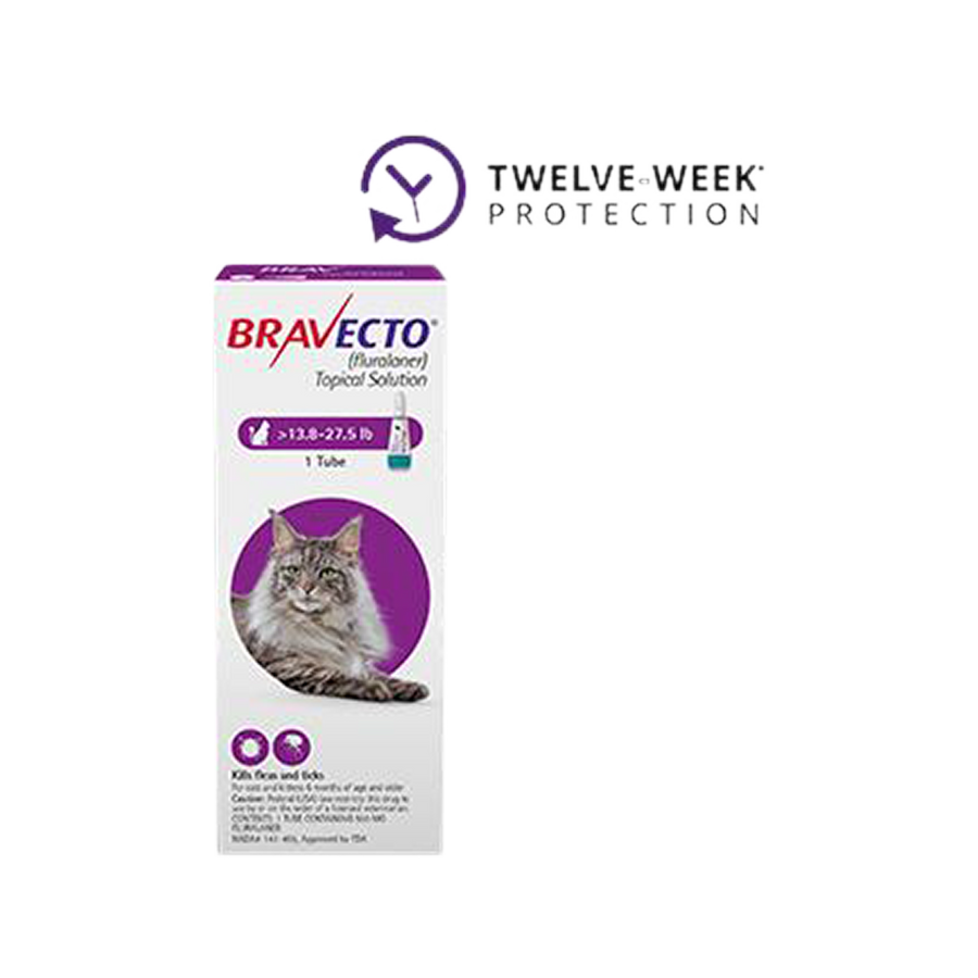 Bravecto Topical Solution for Cats 6.2 - 16.8 lbs