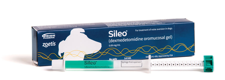 Sileo Oromucosal Gel for Dogs