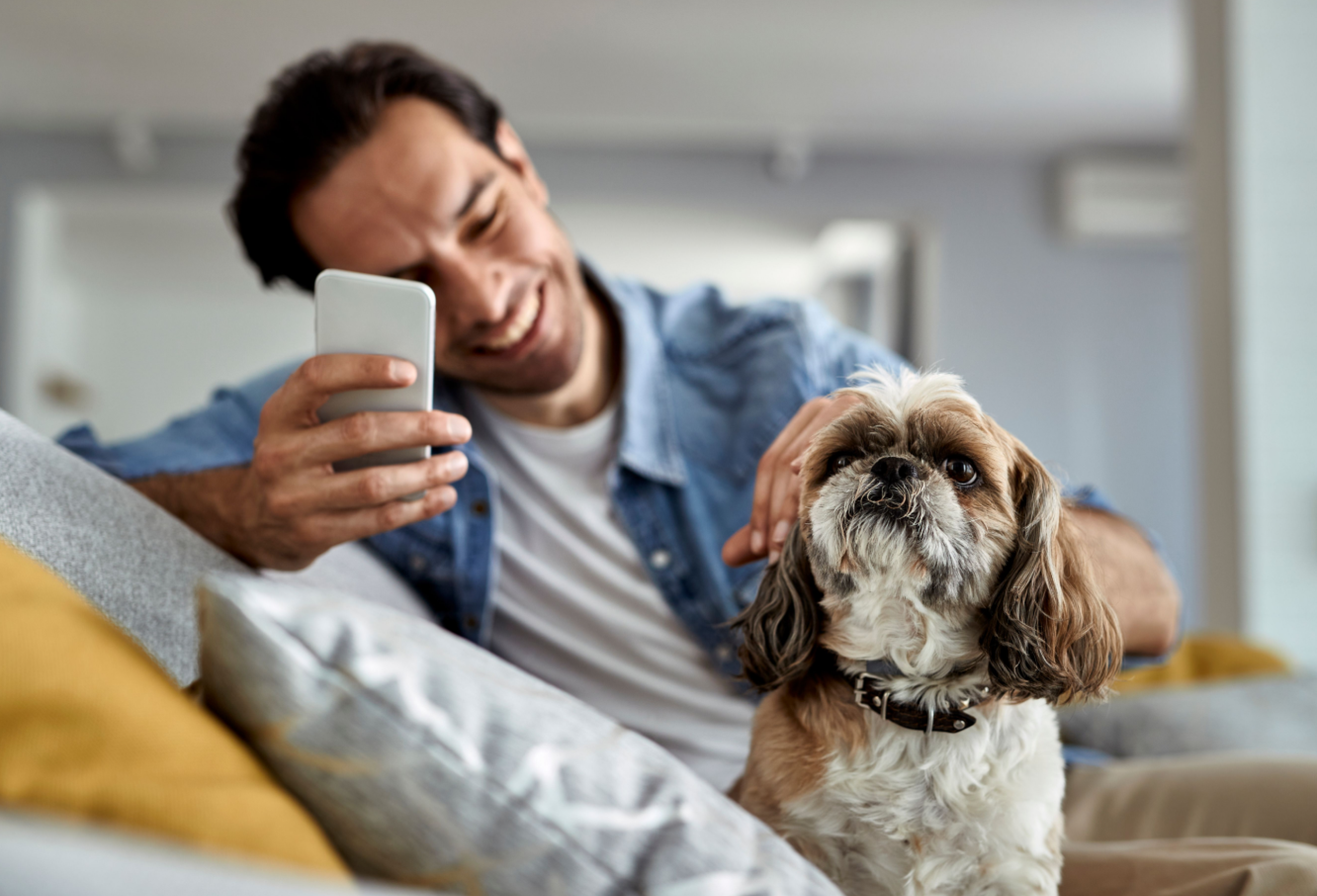 Person with phone in hand and petting a dog